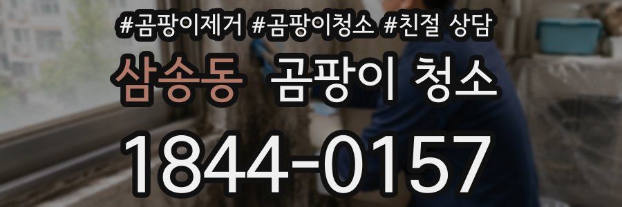 삼송동 곰팡이 청소