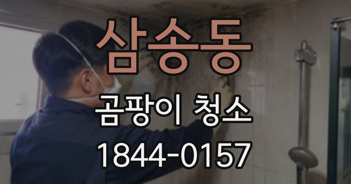 삼송동 곰팡이 청소