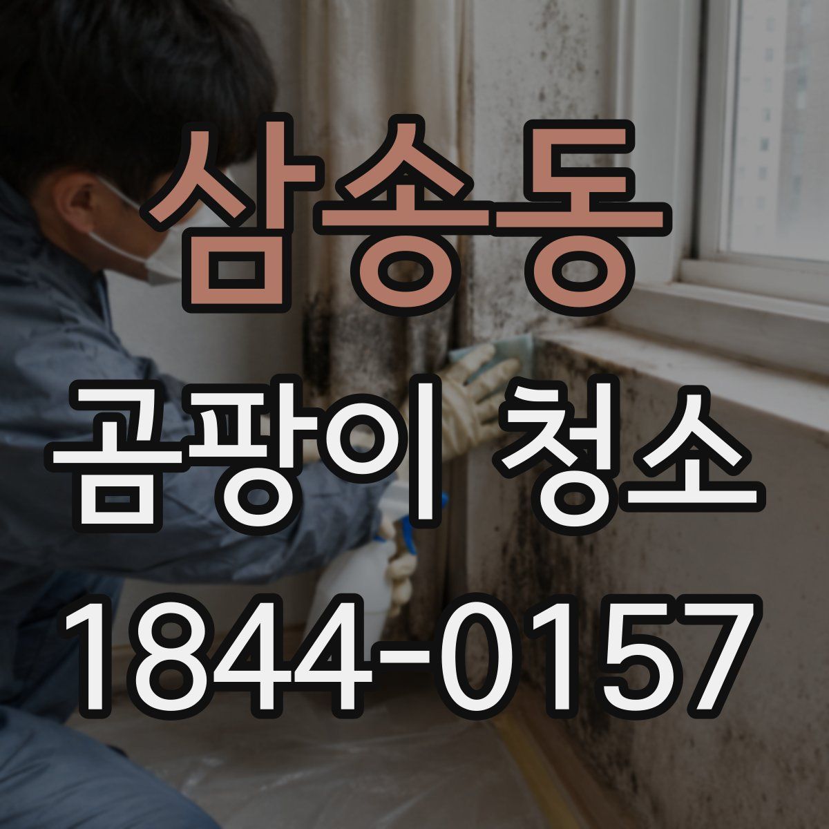 삼송동 곰팡이 청소