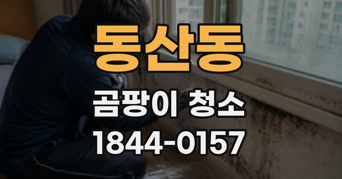 동산동 곰팡이 청소