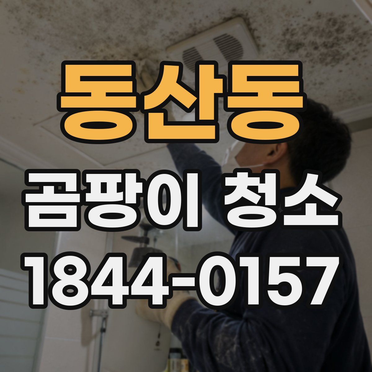 동산동 곰팡이 청소