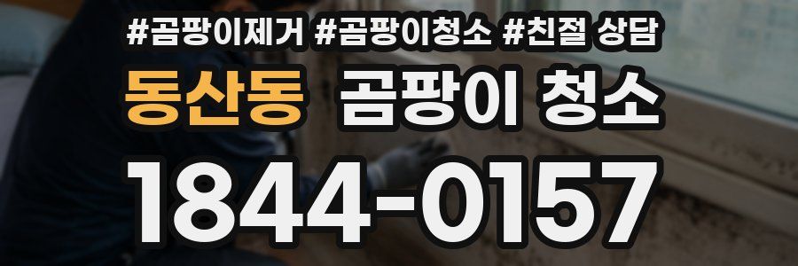 동산동 곰팡이 청소