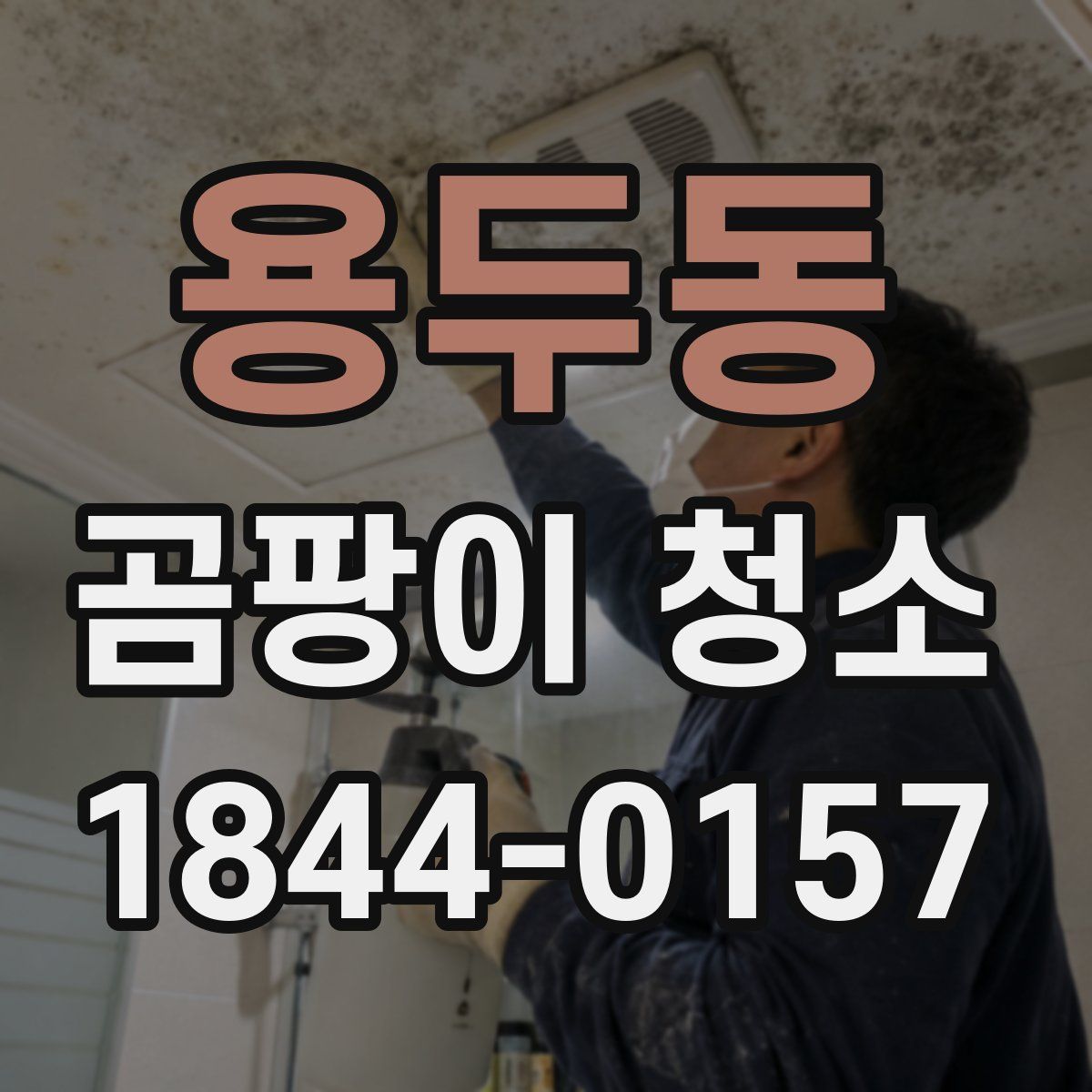 용두동 곰팡이 청소