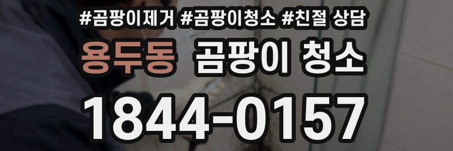 용두동 곰팡이 청소