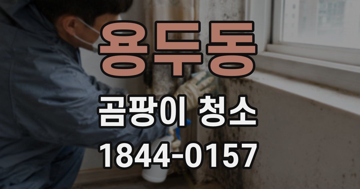 용두동 곰팡이 청소