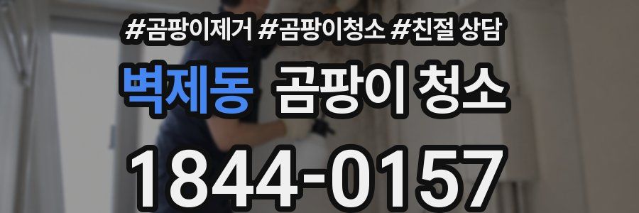 벽제동 곰팡이 청소
