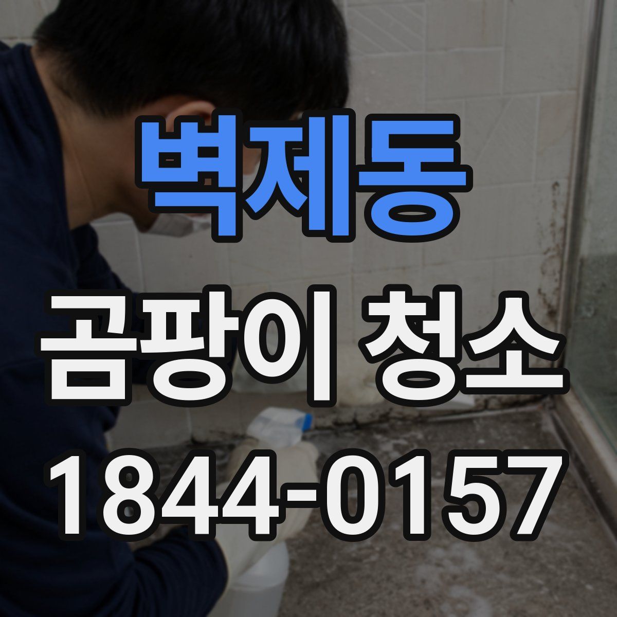 벽제동 곰팡이 청소