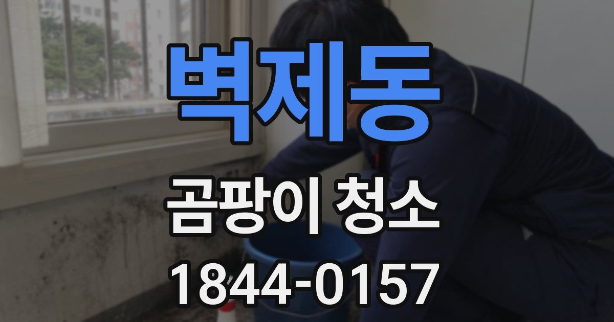 벽제동 곰팡이 청소