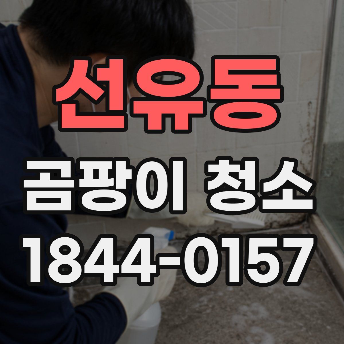선유동 곰팡이 청소