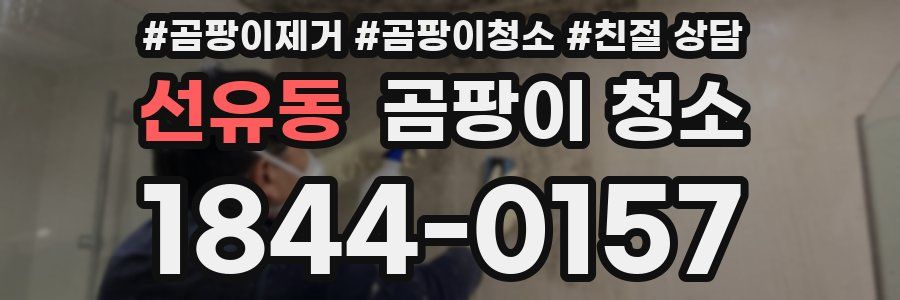 선유동 곰팡이 청소