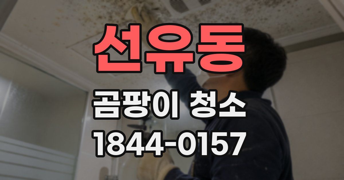 선유동 곰팡이 청소