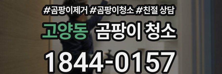고양동 곰팡이 청소