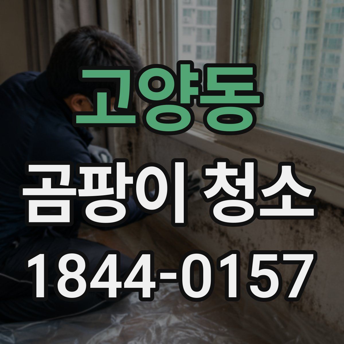 고양동 곰팡이 청소