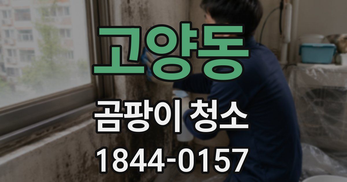 고양동 곰팡이 청소
