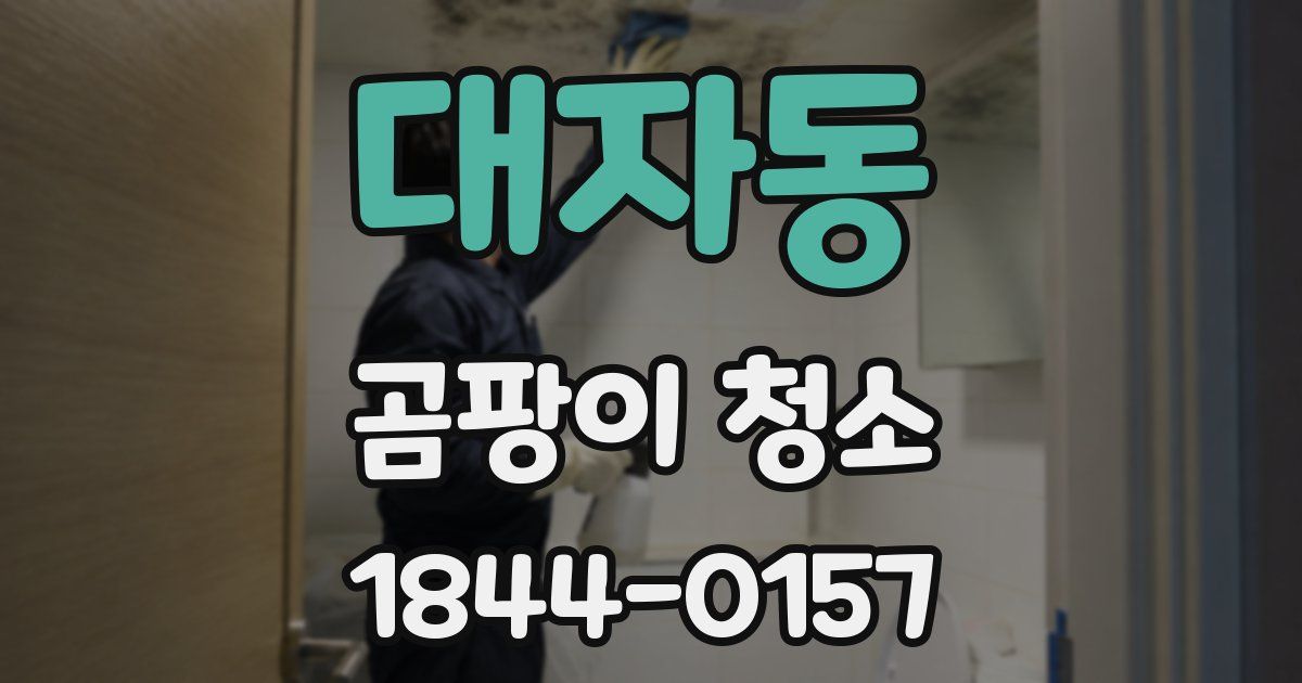 대자동 곰팡이 청소