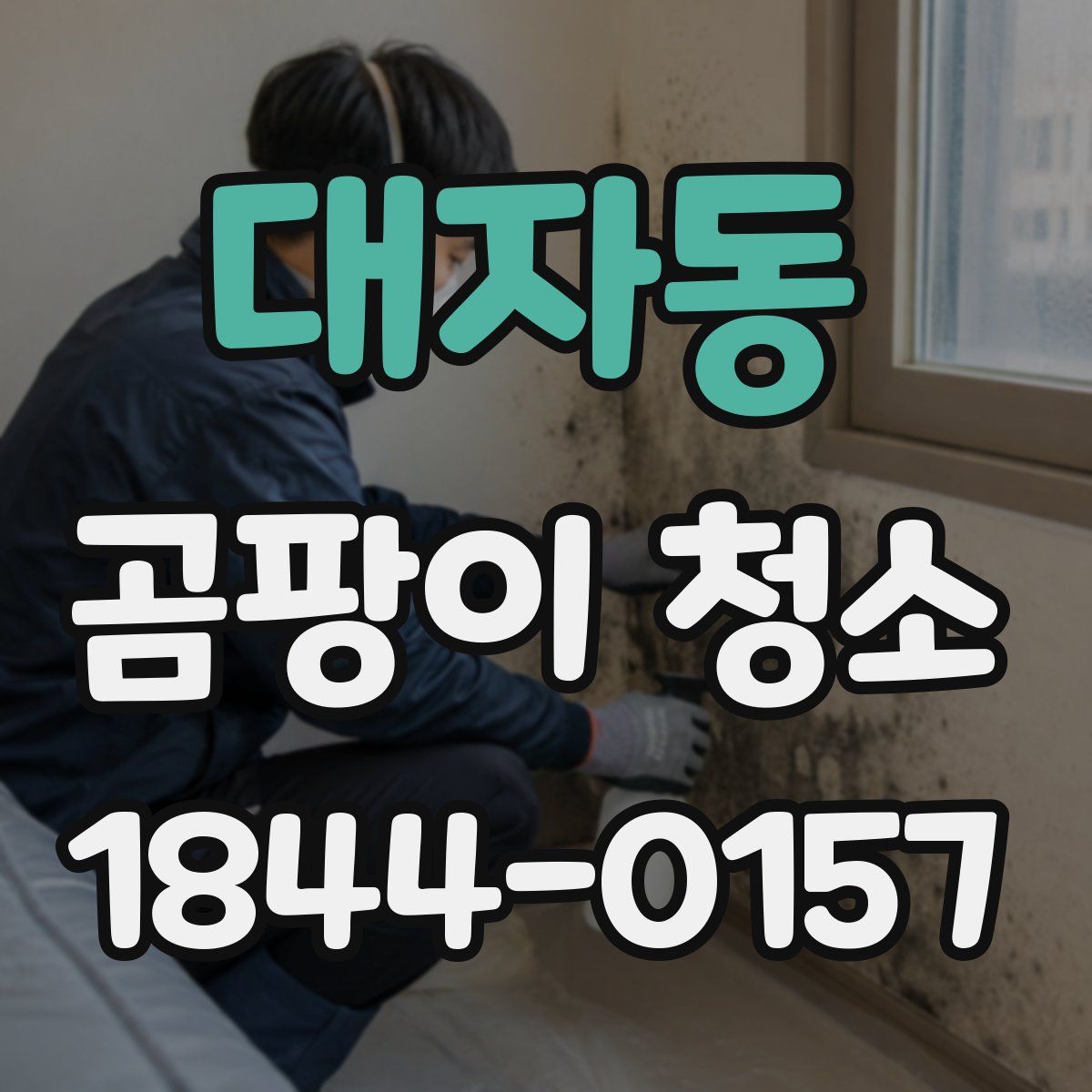대자동 곰팡이 청소
