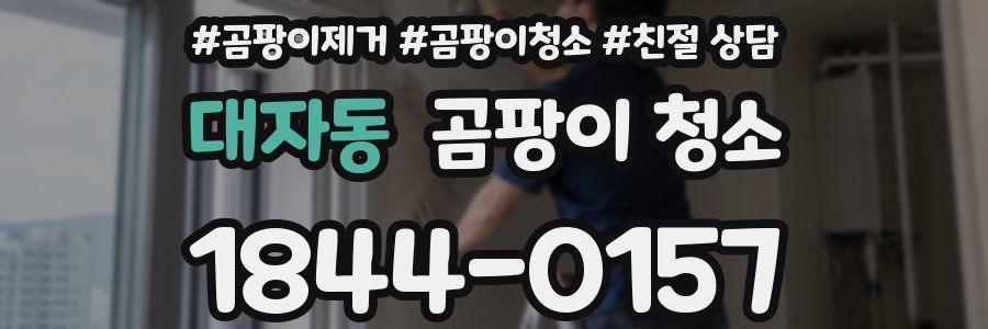 대자동 곰팡이 청소