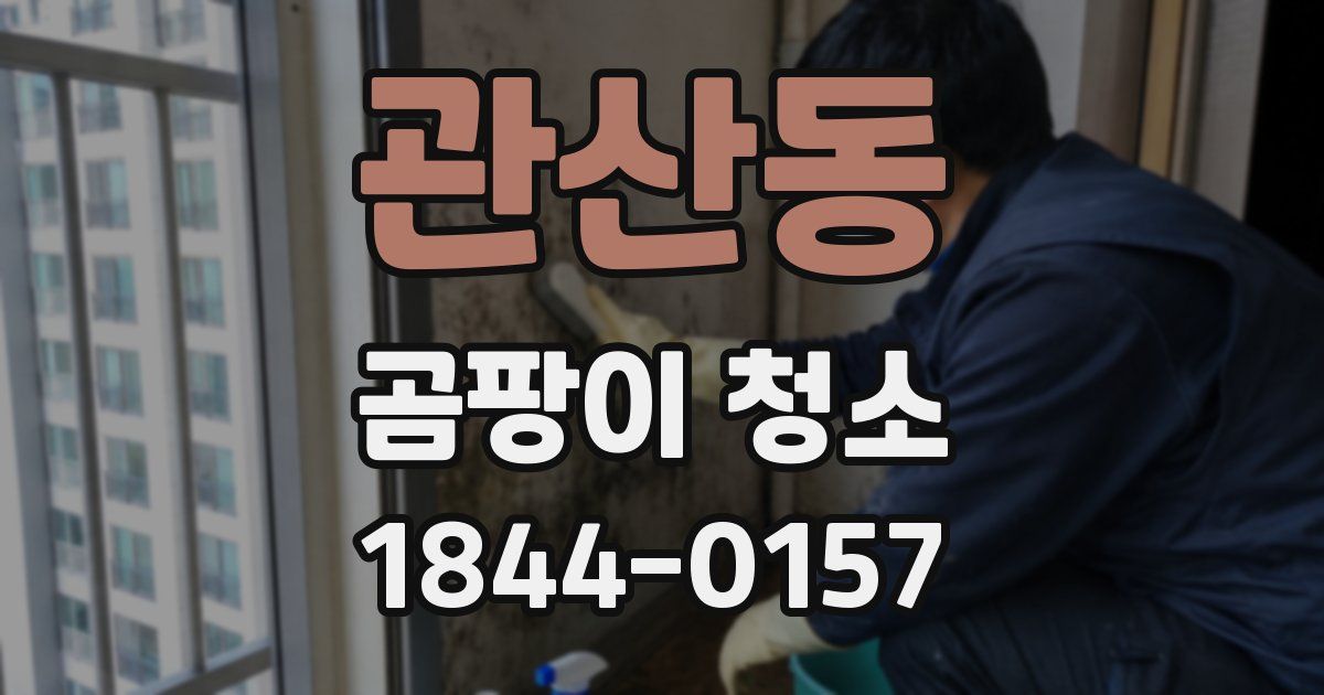 관산동 곰팡이 청소