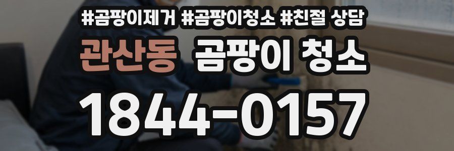 관산동 곰팡이 청소