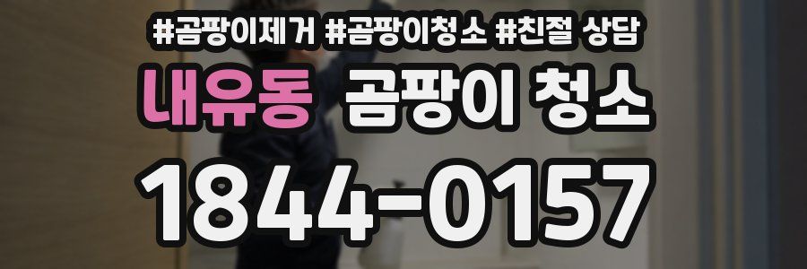 내유동 곰팡이 청소