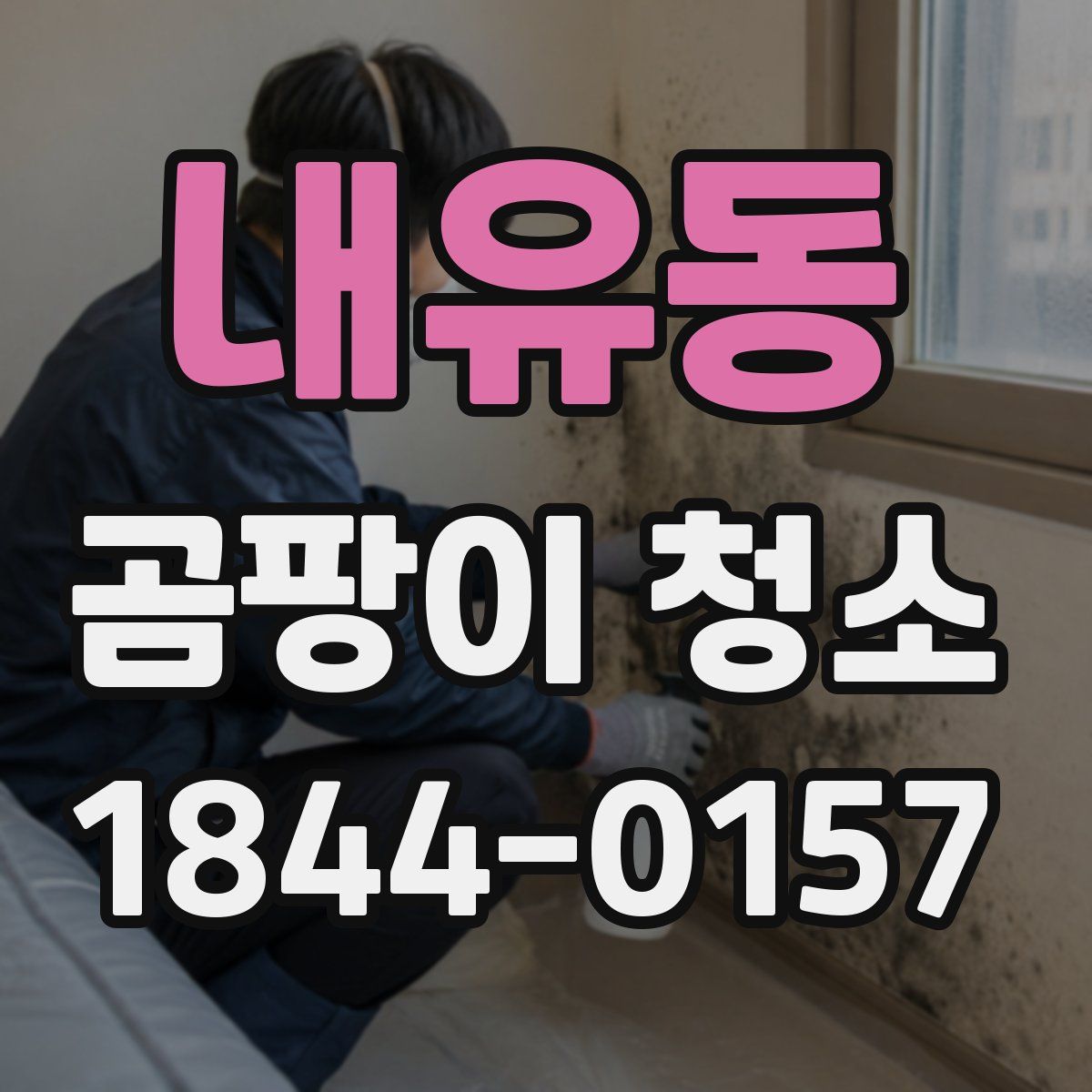 내유동 곰팡이 청소