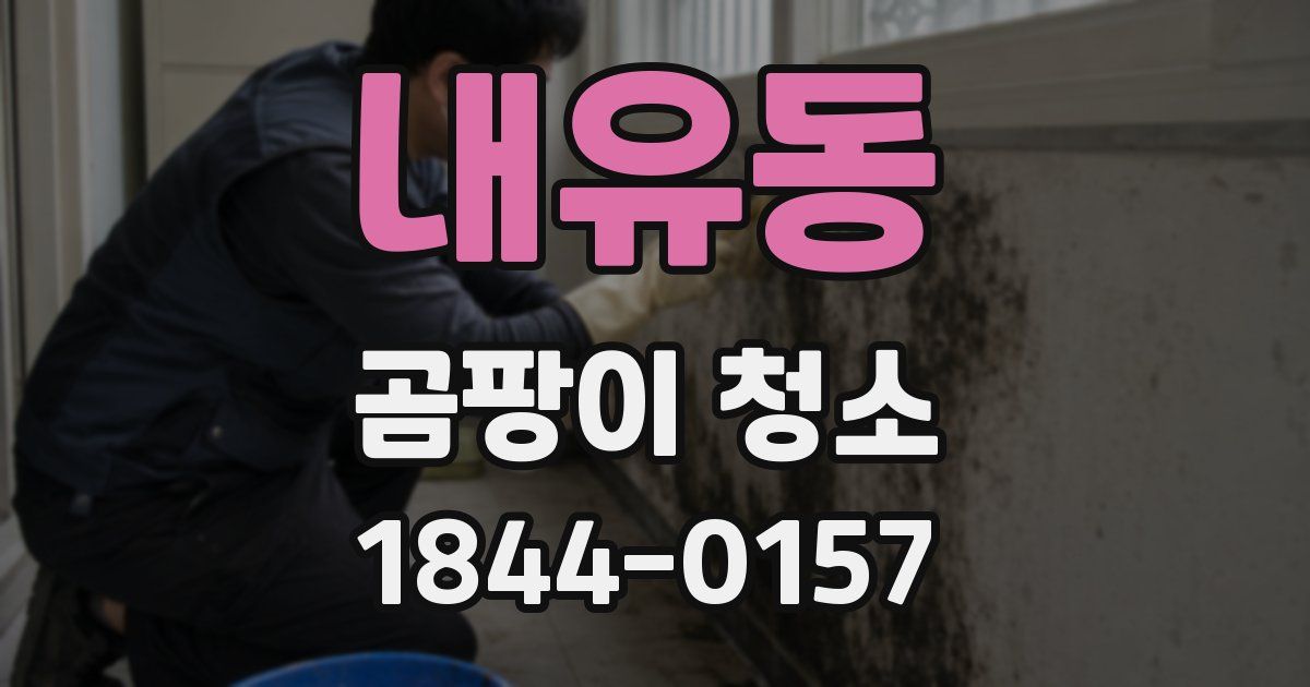 내유동 곰팡이 청소