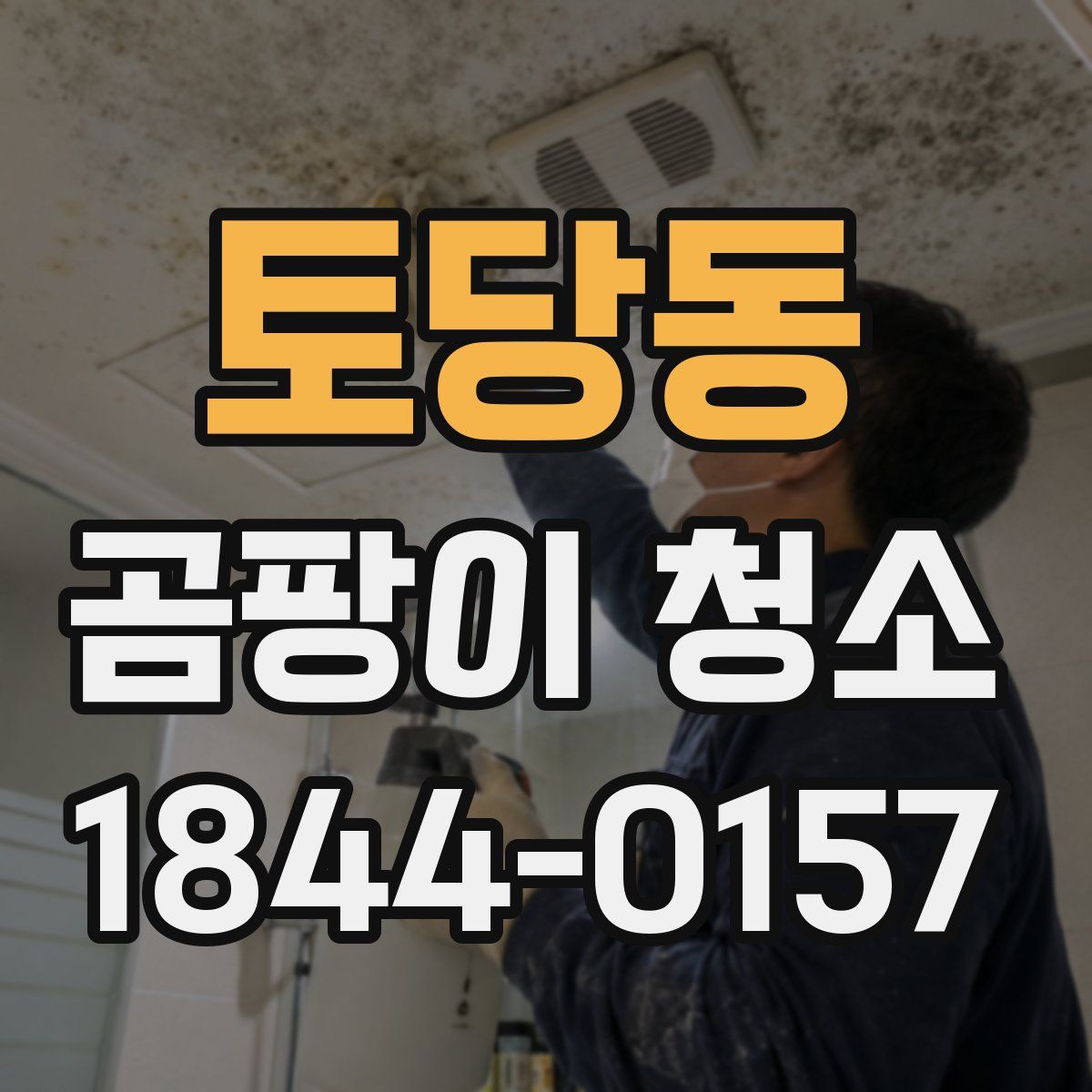 토당동 곰팡이 청소