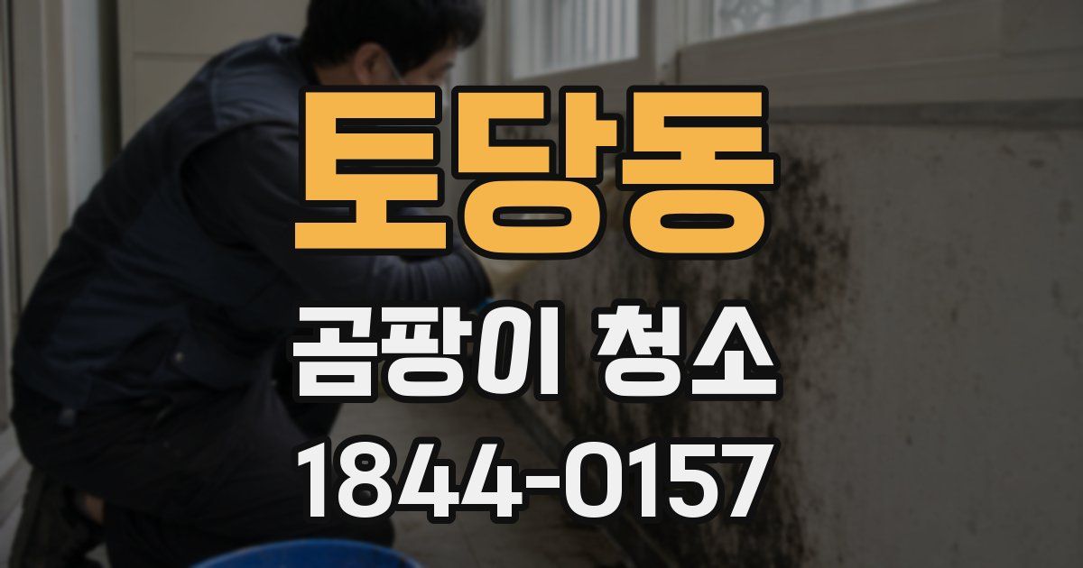토당동 곰팡이 청소
