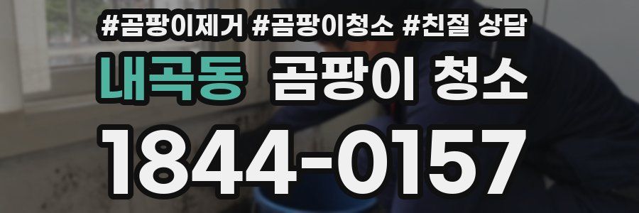 내곡동 곰팡이 청소