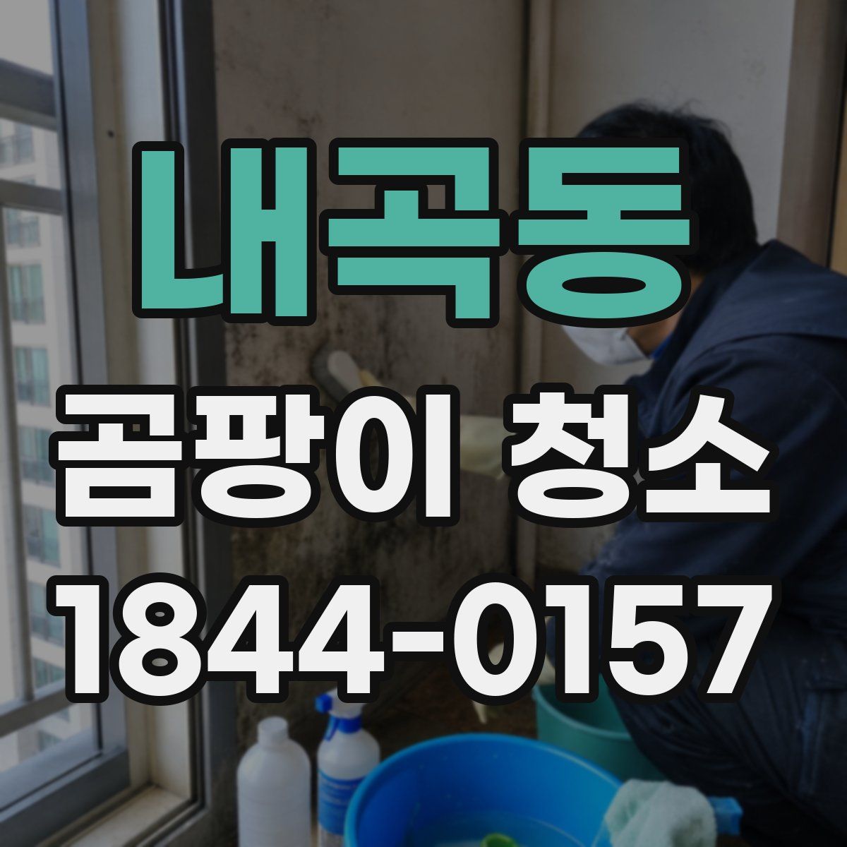 내곡동 곰팡이 청소