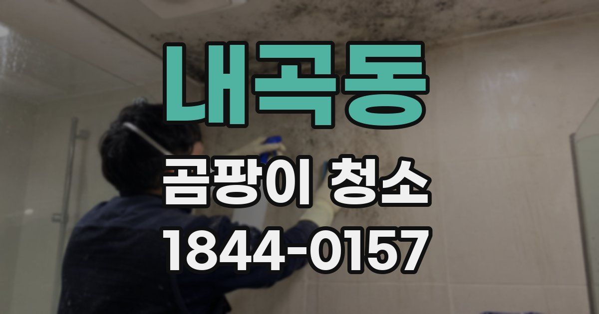 내곡동 곰팡이 청소