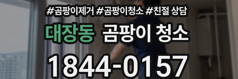 대장동 곰팡이 청소