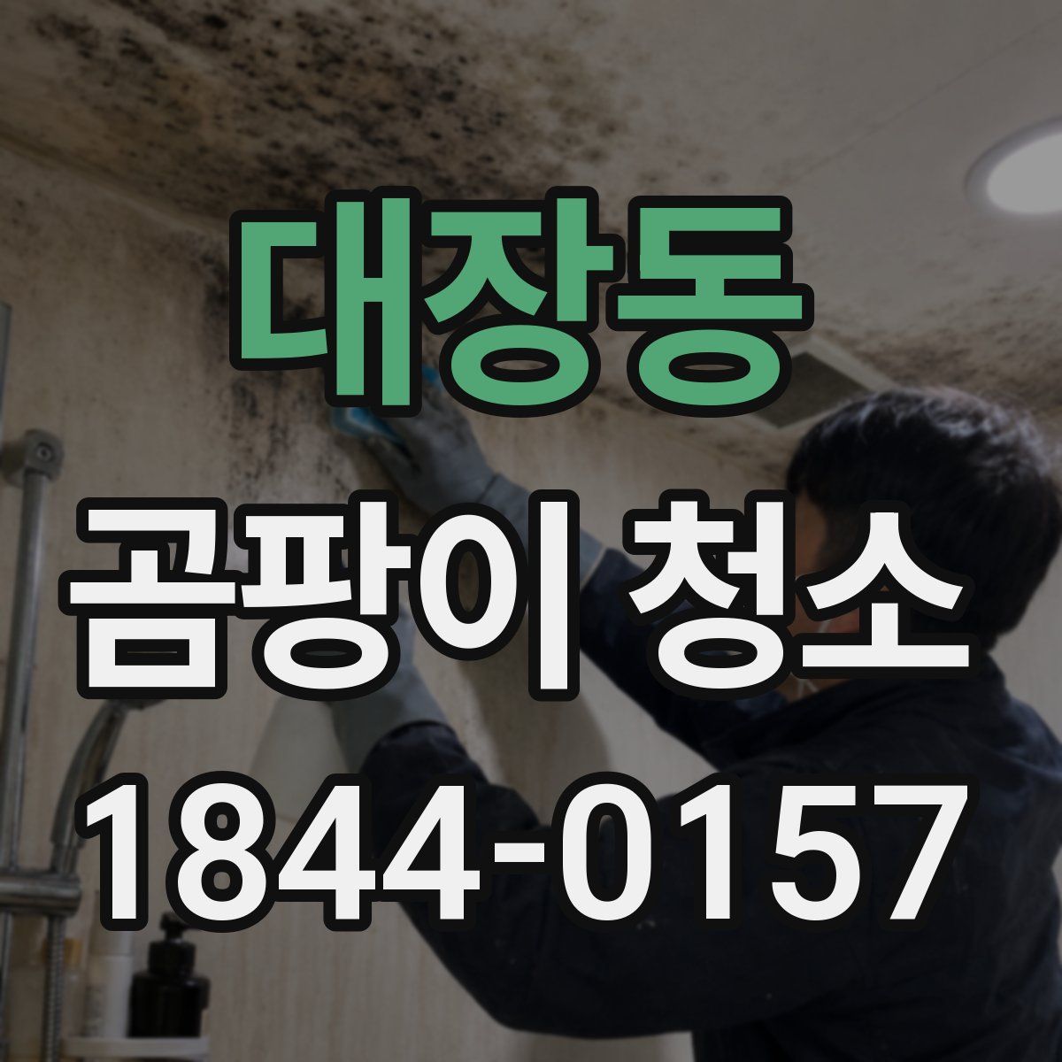 대장동 곰팡이 청소