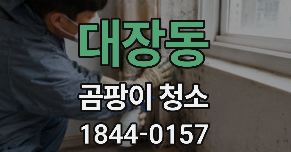 대장동 곰팡이 청소