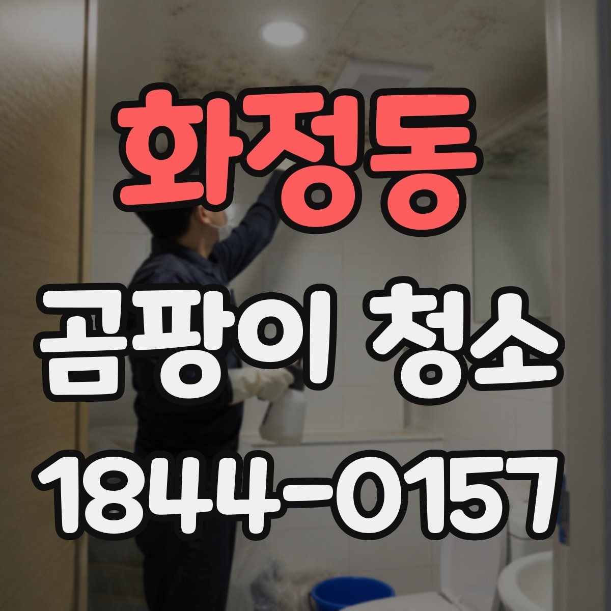 화정동 곰팡이 청소 후 생활 습관 점검