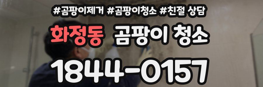 화정동 곰팡이 청소