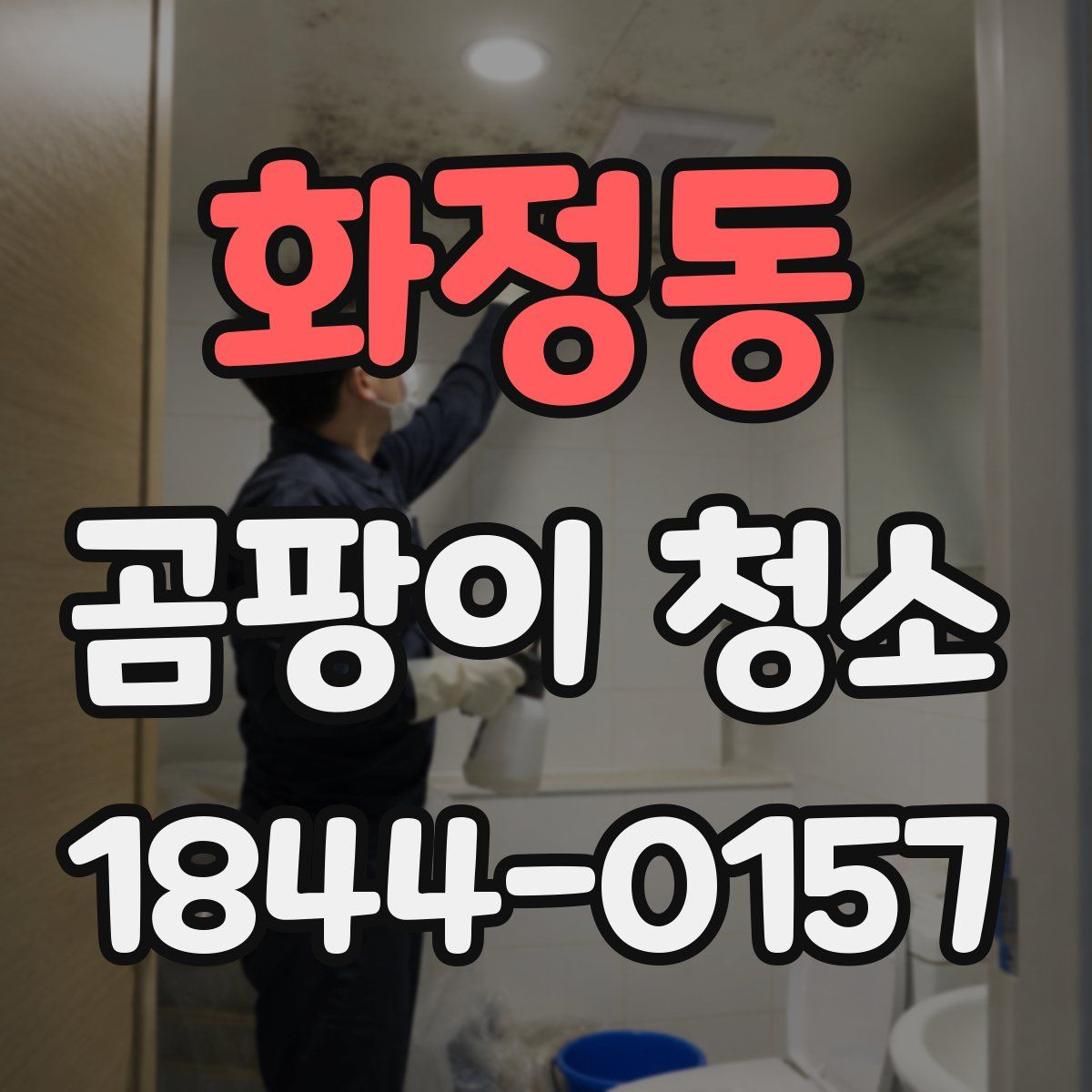 화정동 곰팡이 청소