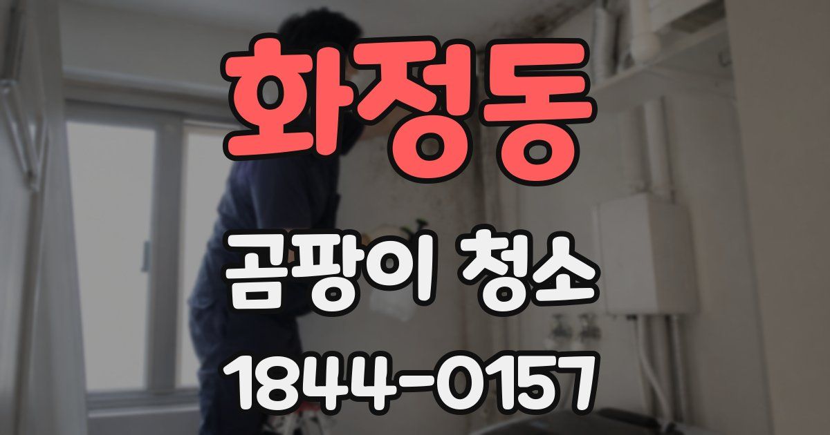 화정동 곰팡이 청소