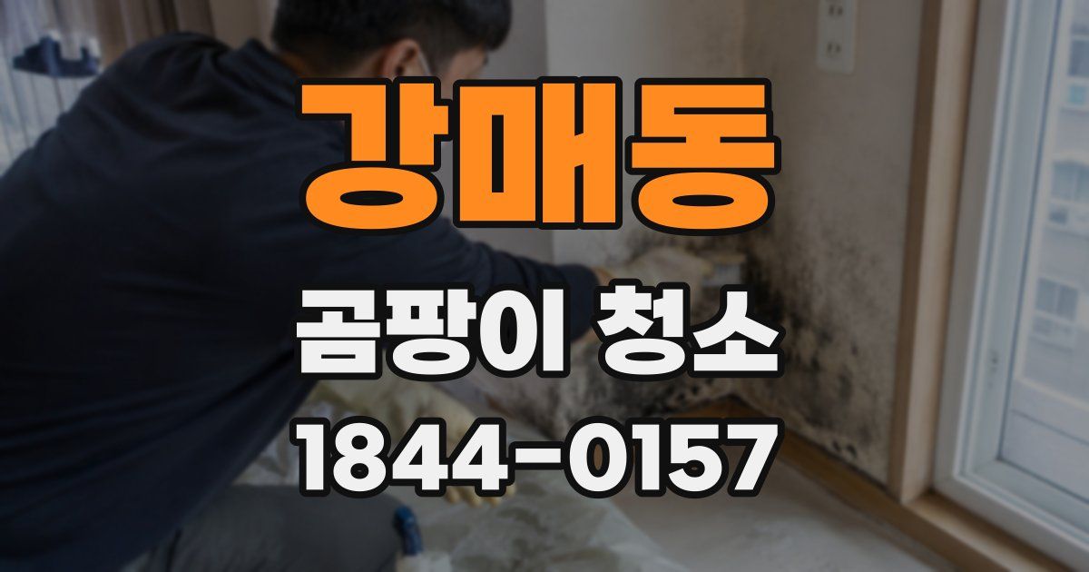 강매동 곰팡이 청소