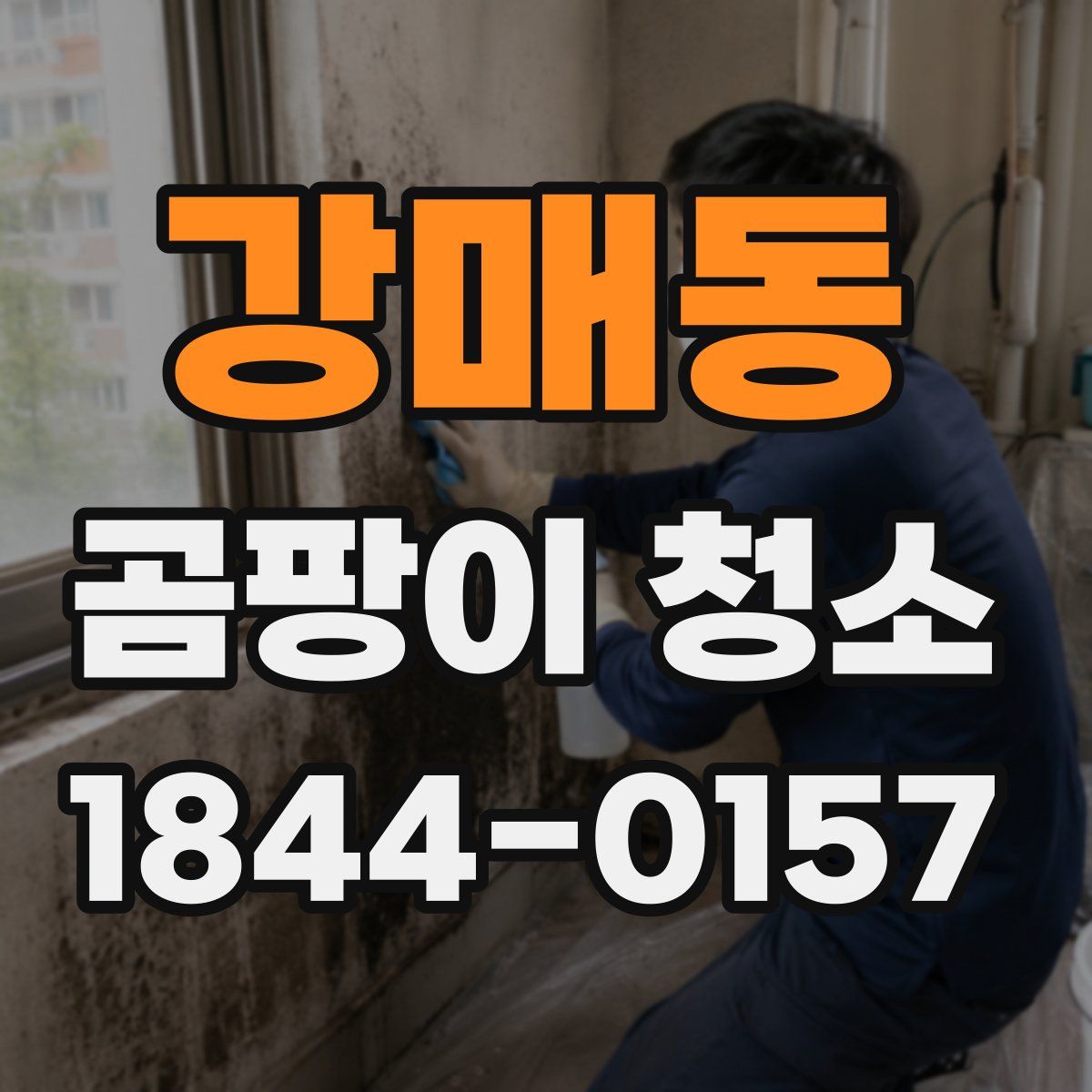 강매동 곰팡이 청소