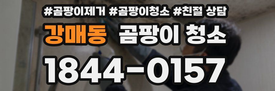 강매동 곰팡이 청소