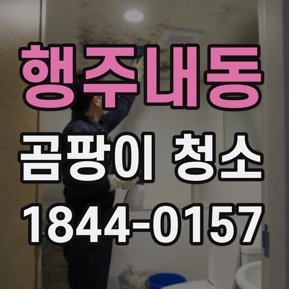 행주내동 곰팡이 청소 후 추가 방지 대책 세우는 법