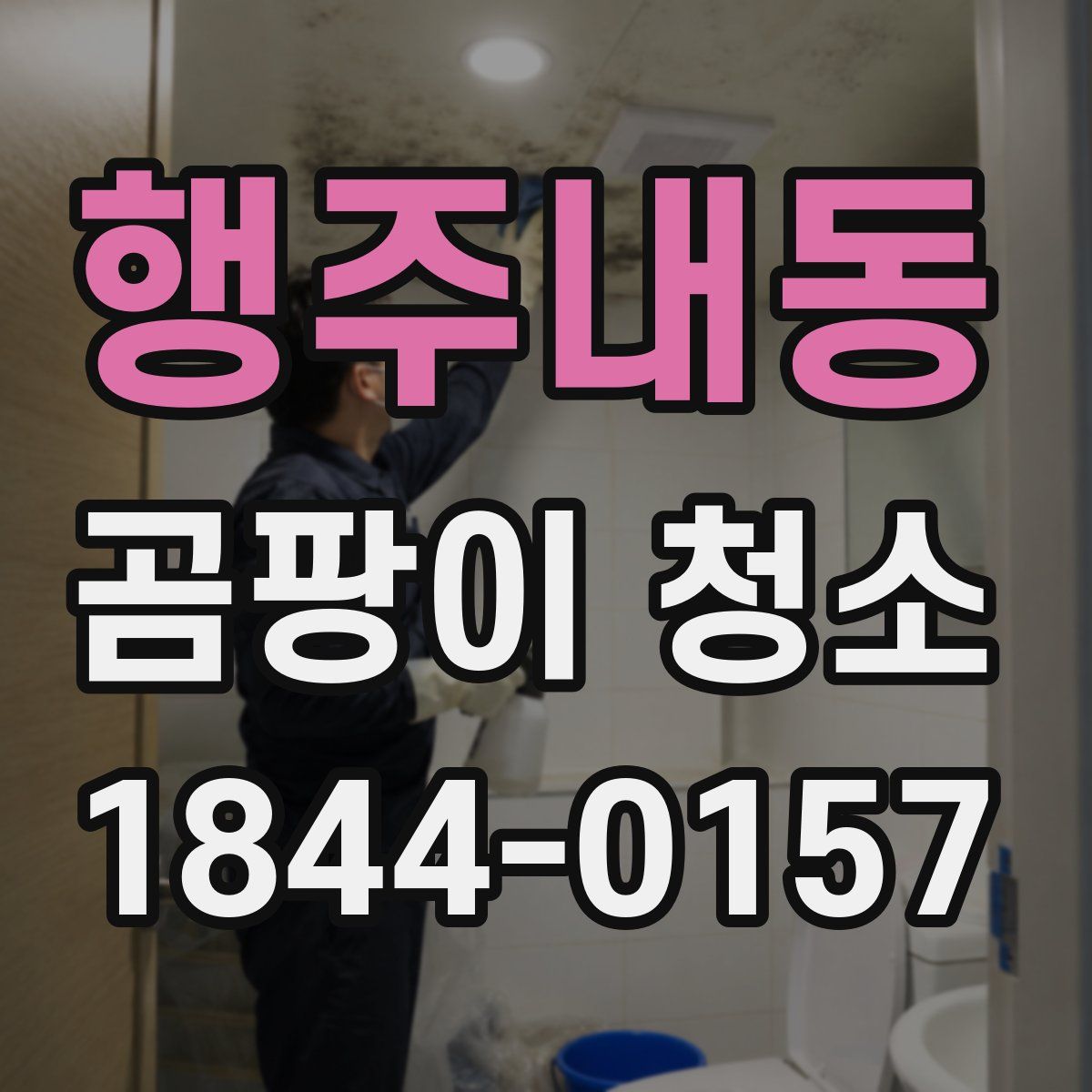 행주내동 곰팡이 청소