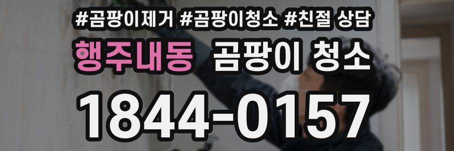 행주내동 곰팡이 청소