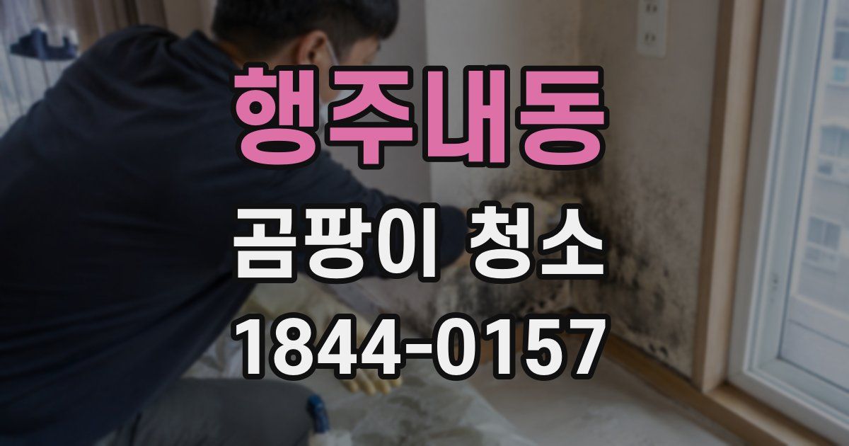 행주내동 곰팡이 청소
