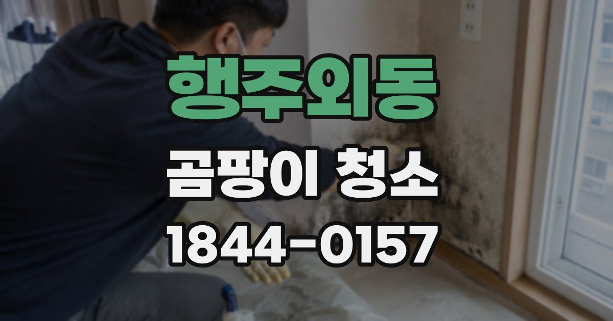 행주외동 곰팡이 청소