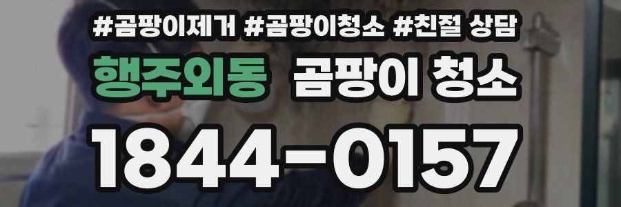 행주외동 곰팡이 청소