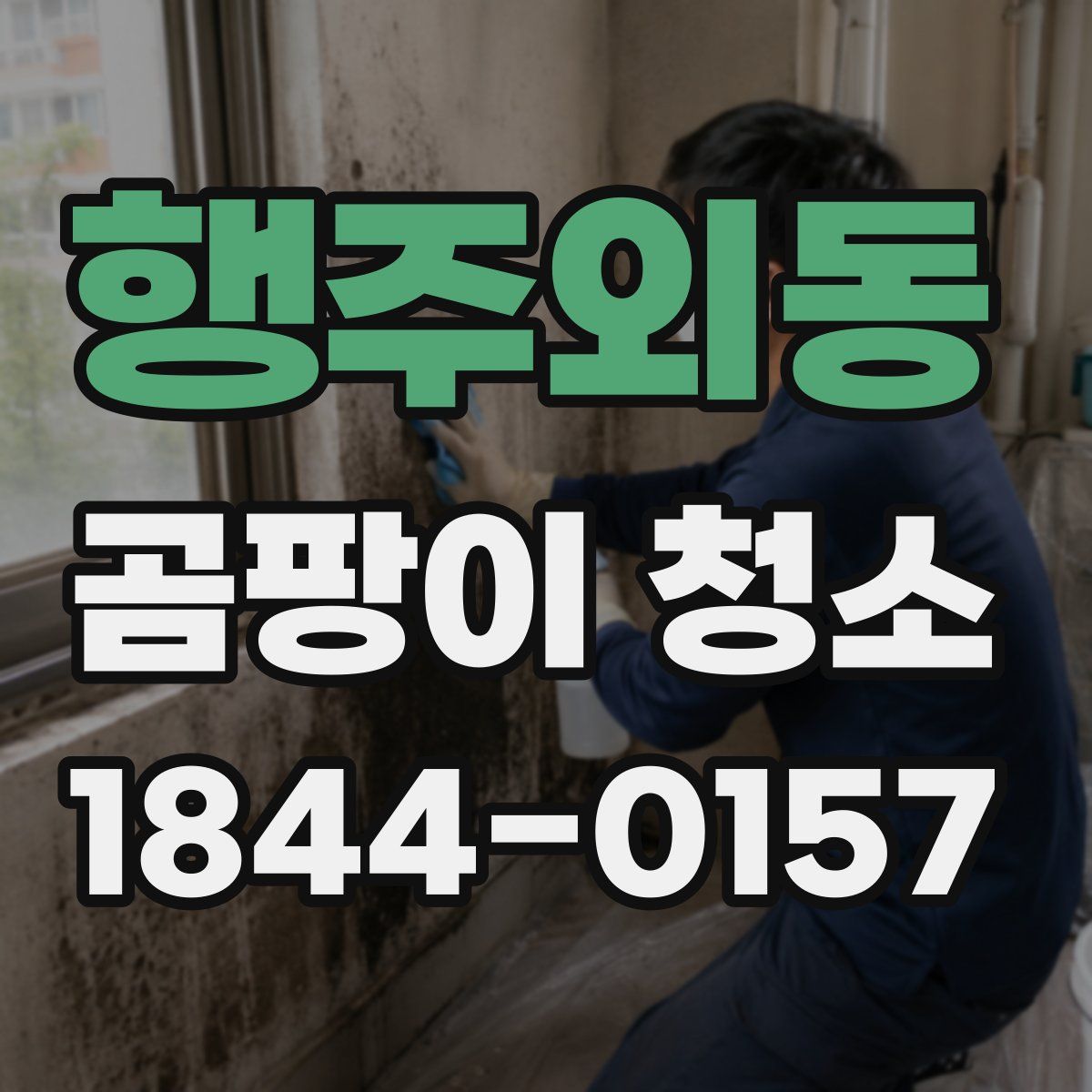행주외동 곰팡이 청소