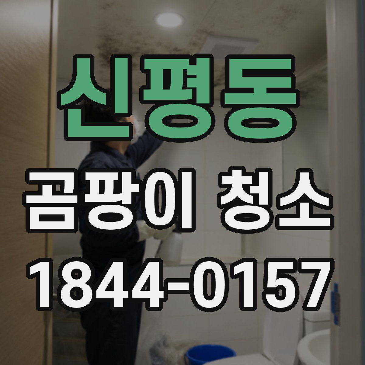 신평동 곰팡이 청소