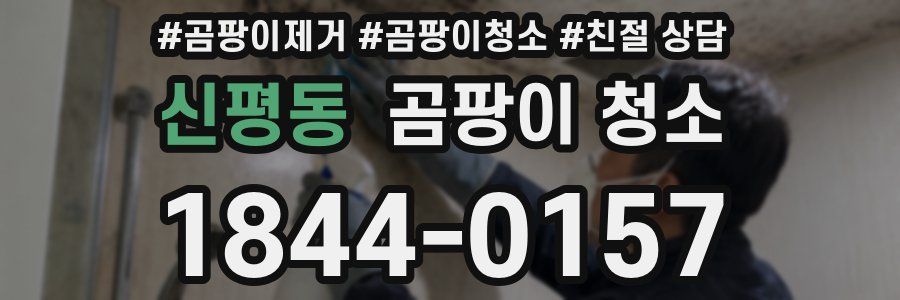 신평동 곰팡이 청소